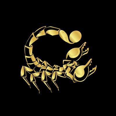 scorpionbet,Scorpion Casino Building number 1 social online gambling 